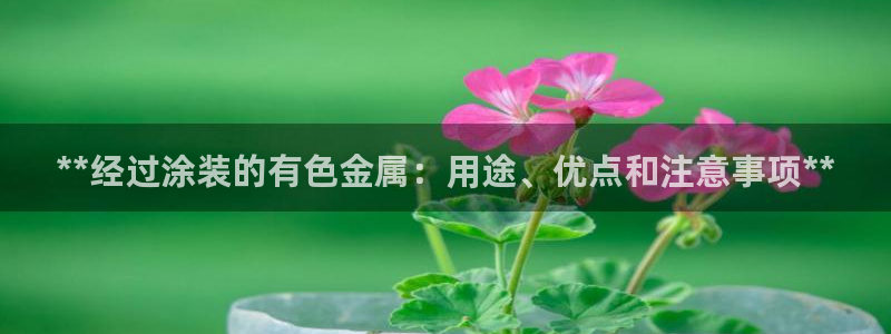 美高梅酒店客服