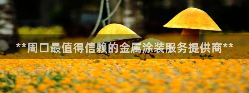 美高梅国际酒店集团的总部位于哪里