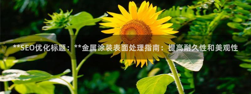 美高梅官网集团
