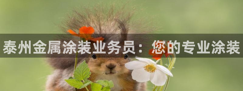 美高梅酒店在三亚哪个区