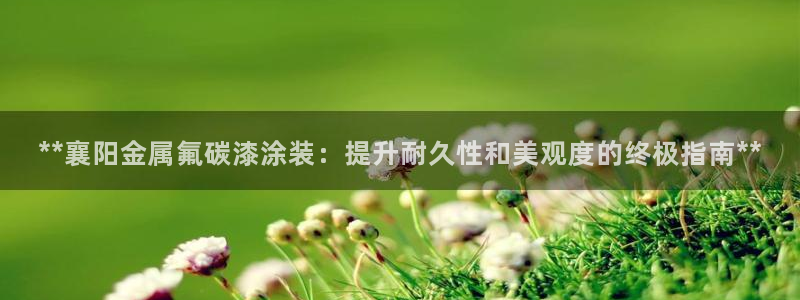 美高梅何超琼股份