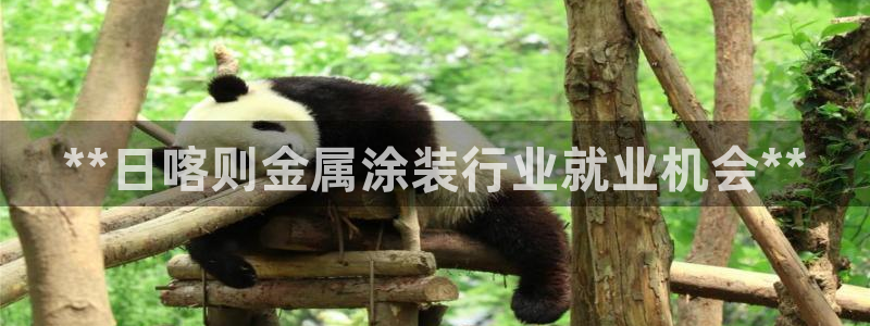美高梅营业时间