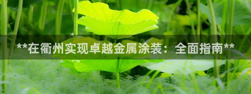 美高梅空中海洋秀是免费的吗