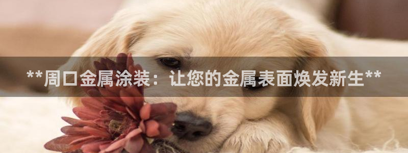 美高梅枪案小杰
