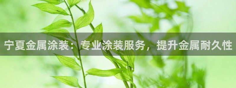 美高梅行政泳池