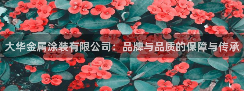 美高梅何超琼持股
