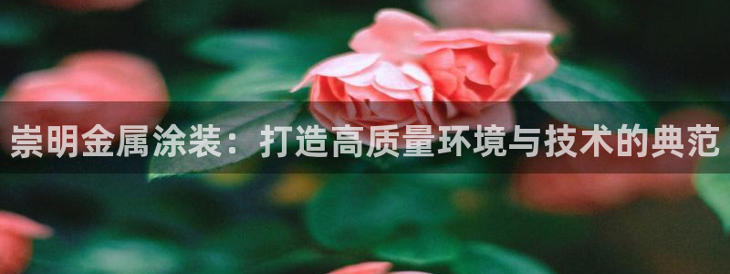 美高梅 何超琼
