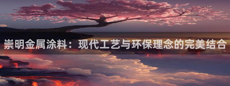 美高梅控股有限公司