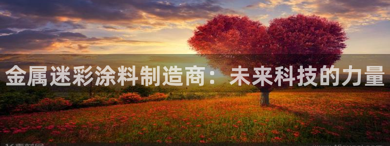 美高梅官网国际亮点