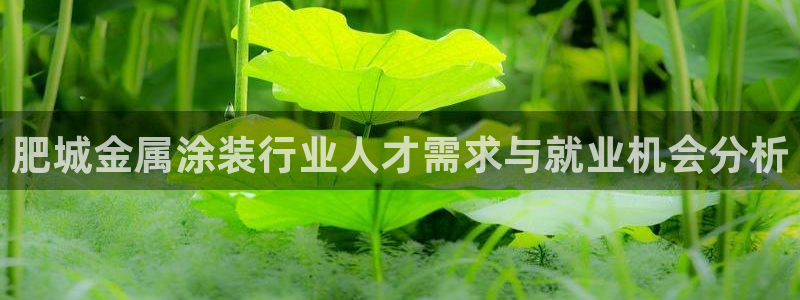 鲁能钓鱼台美高梅loft