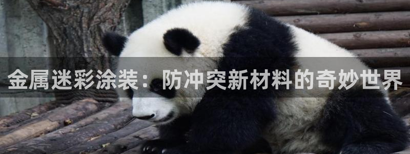 美高梅营业时间