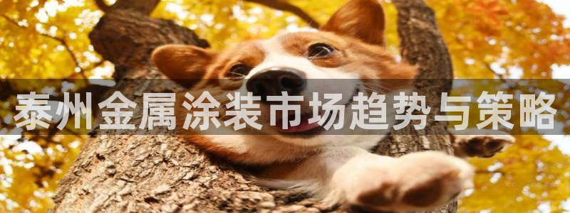 美高梅至尊88卡需要多少钱