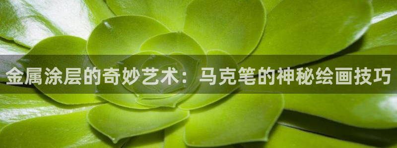 美高梅手机游戏