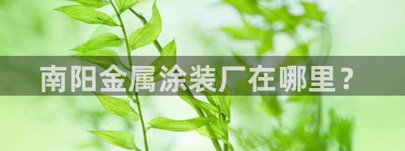 美高梅酒店投资多少亿