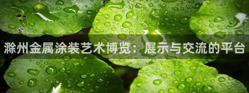 美高梅餐饮店在哪里开