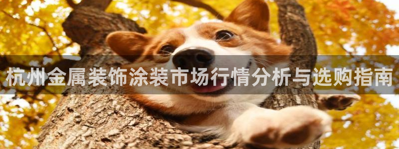 美高梅别墅丰台