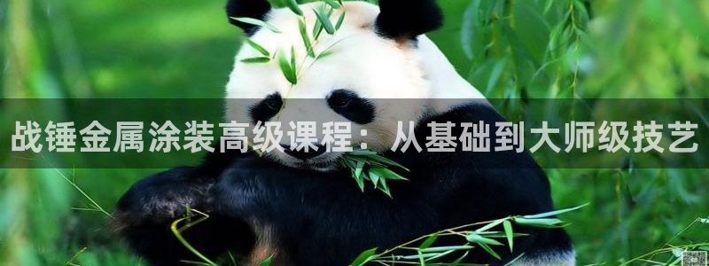 美高梅公司旗下有哪些公司
