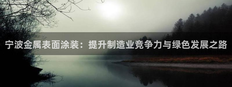 美狮美高梅酒店外观图片：宁波金属表面涂装