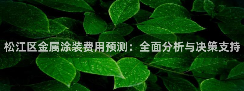 鲁能美高梅别墅物业费：松江区金属涂装费用