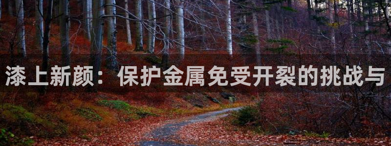美高梅至尊88卡需要多少钱