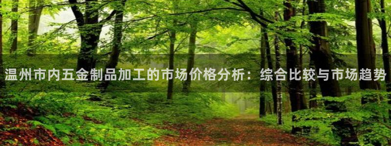 美狮美高梅酒店客房多少间：温州市内五金制