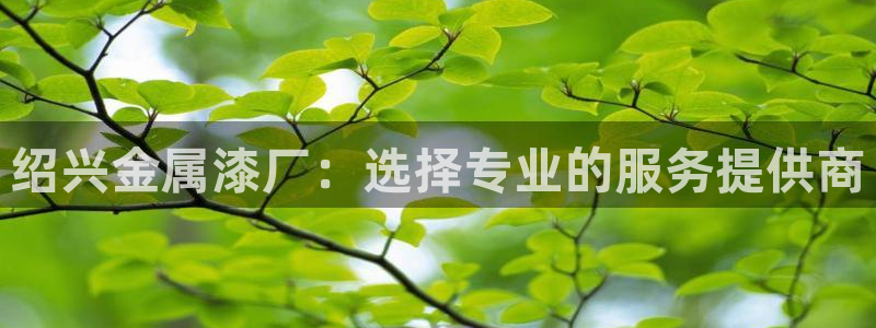 美高梅会员卡需要退卡吗