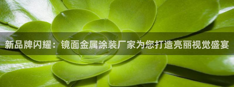 美高梅和米高梅是什么关系啊