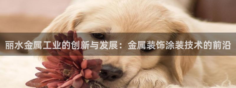 美高梅音乐会公开售票吗