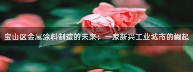 美高梅公司怎么样