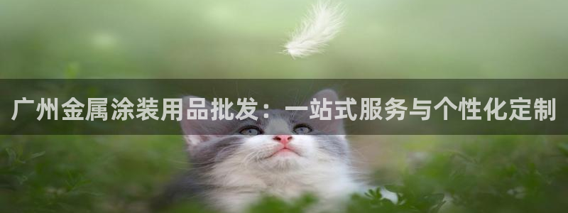 美高梅会员卡打折吗