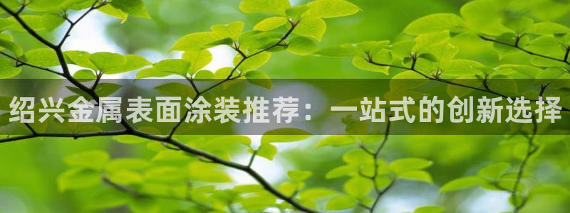 美高梅何超琼英文