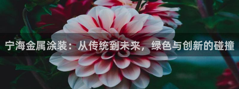 美狮美高梅发财车