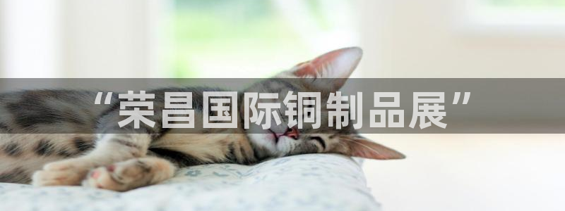 美高梅游戏推荐