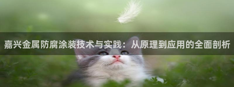 美高梅会员卡级别黑卡