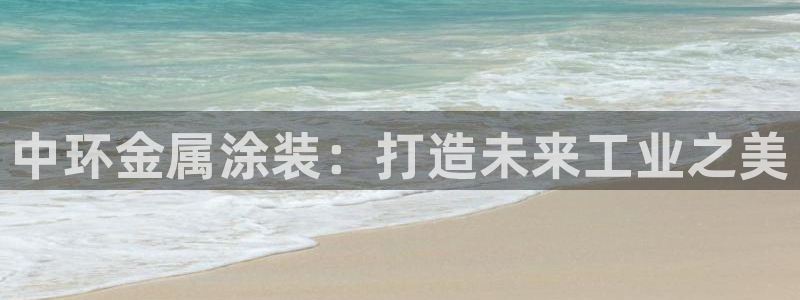 美高梅股票中国净资产多少