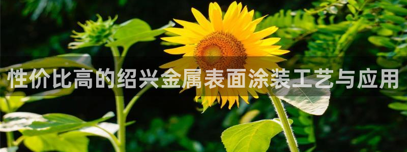 美高梅认养大熊猫