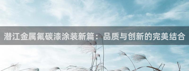 美高梅股东何超琼