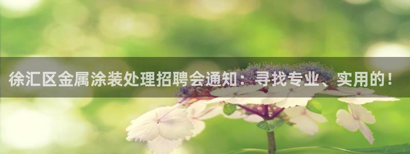 美高梅公司的社会信用代码查询：徐汇区金属