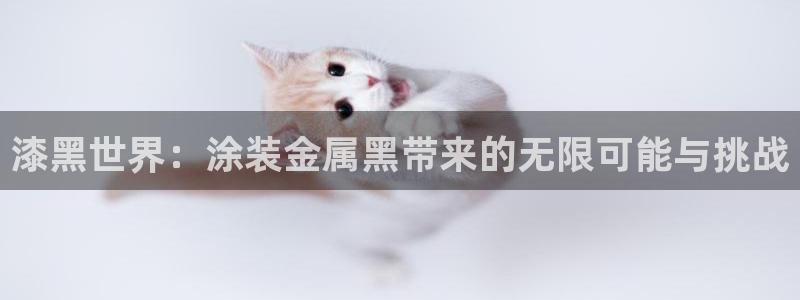 美高梅会员卡可以退吗