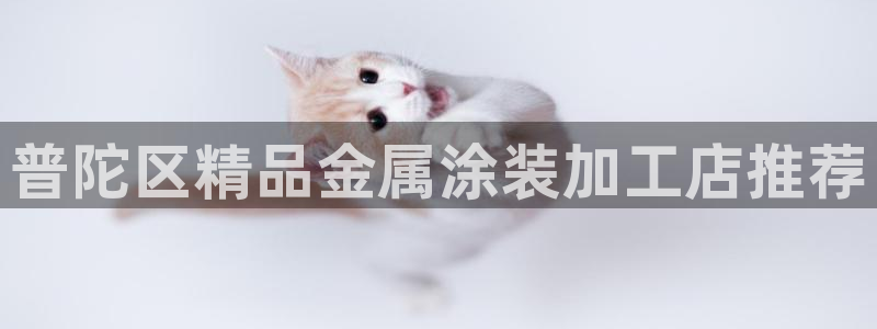 美高梅大酒店自助年卡