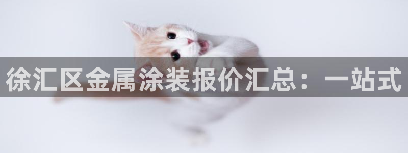 美高梅酒店北京：徐汇区金属涂装报价汇总：