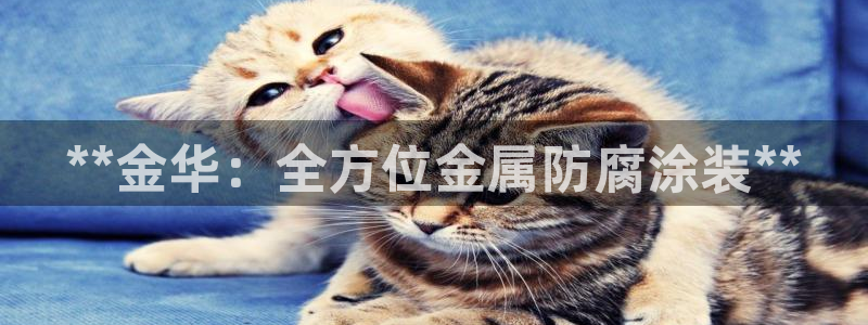 美高梅会员卡等级