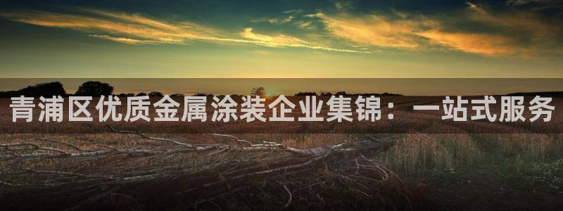 美狮美高梅酒店积分