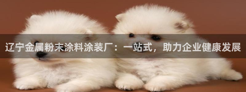 美狮美高梅酒店黑卡400餐卷