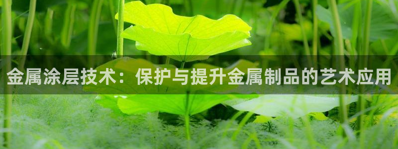 美狮美高梅酒店攻略