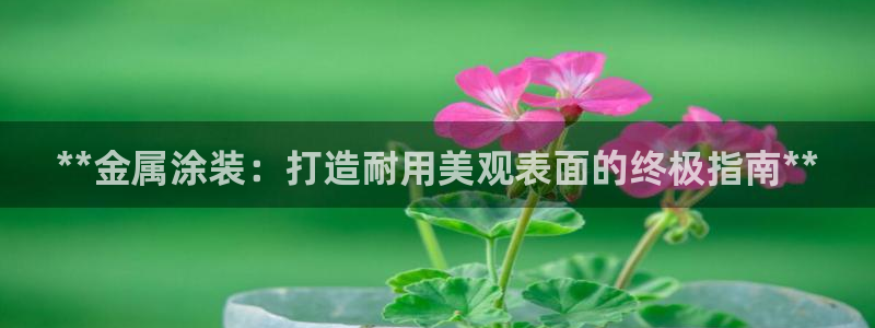 美高梅广场房价会涨吗