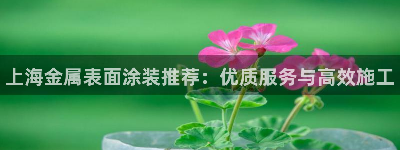 美高梅黑卡最低多少积分