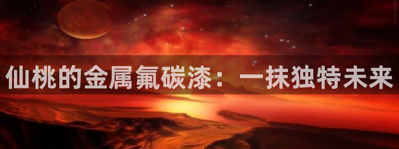 美高梅酒店拖鞋