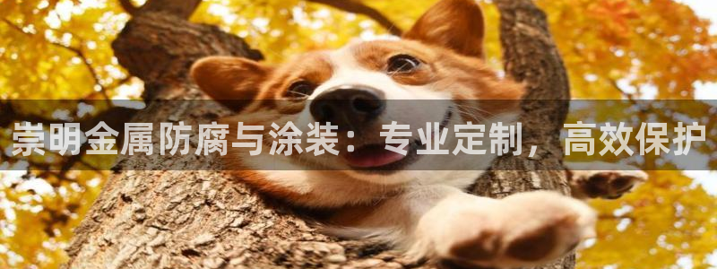 美高梅大酒店一共多少层