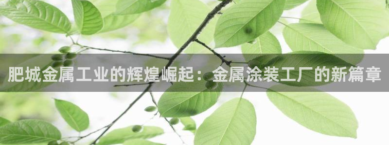 美狮美高梅酒店英文：肥城金属工业的辉煌崛